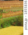 1855836
