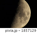 月齢7.3