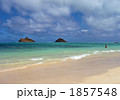 ハワイ　天国の海