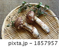 秋の味覚#3