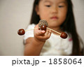 どんぐりのヤジロベエ