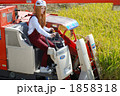 無題 1858318
