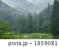 1859081