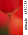 1859085