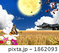 秋夕_k_321260