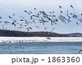 ラムサール登録湿地　白鳥公園（濤沸湖）