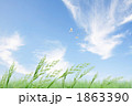 自然風景_k_810710