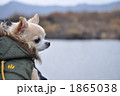 お散歩
