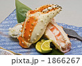 皿盛りのたらばかに