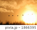 1866395