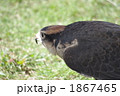 1867465
