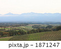 上富良野