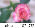 1871532