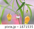 1871535