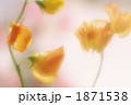 1871538