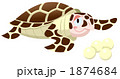 ウミガメ