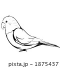 セキセイインコ（線画）