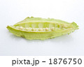 四角豆（ウリズン）