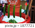 串刺しのキュウリ