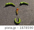 1878590