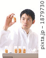 研究開発イメージ（種子・トウモロコシ）（モデル：古荘智宣）