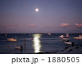 月明りに照らされたロットネスト島の海岸