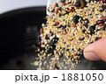 雑穀を投入