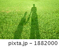 手をつなぐ親子の影