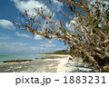 竹富島カイジ浜1