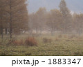 1883347