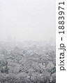 都市の雪景色