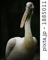 1885011