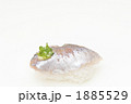 鯵にぎり