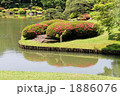 六義園のつつじ 