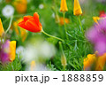 1888859