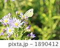 1890412