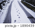 犬の散歩