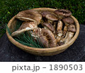 国産の松茸