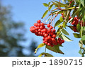 秋の北海道