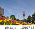 秋の札幌