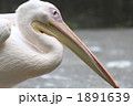 1891639