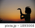 1893008