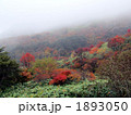 那須高原　朝靄の茶臼岳　紅葉
