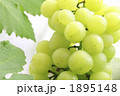 1895148