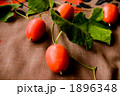 1896348