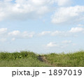 1897019