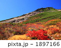 紅葉の乗鞍岳