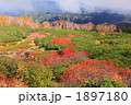 紅葉の乗鞍高原