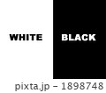 white／black