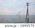 海と電柱